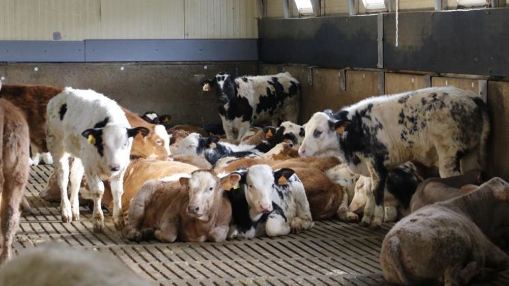 © Hélène Chaligne/GFA